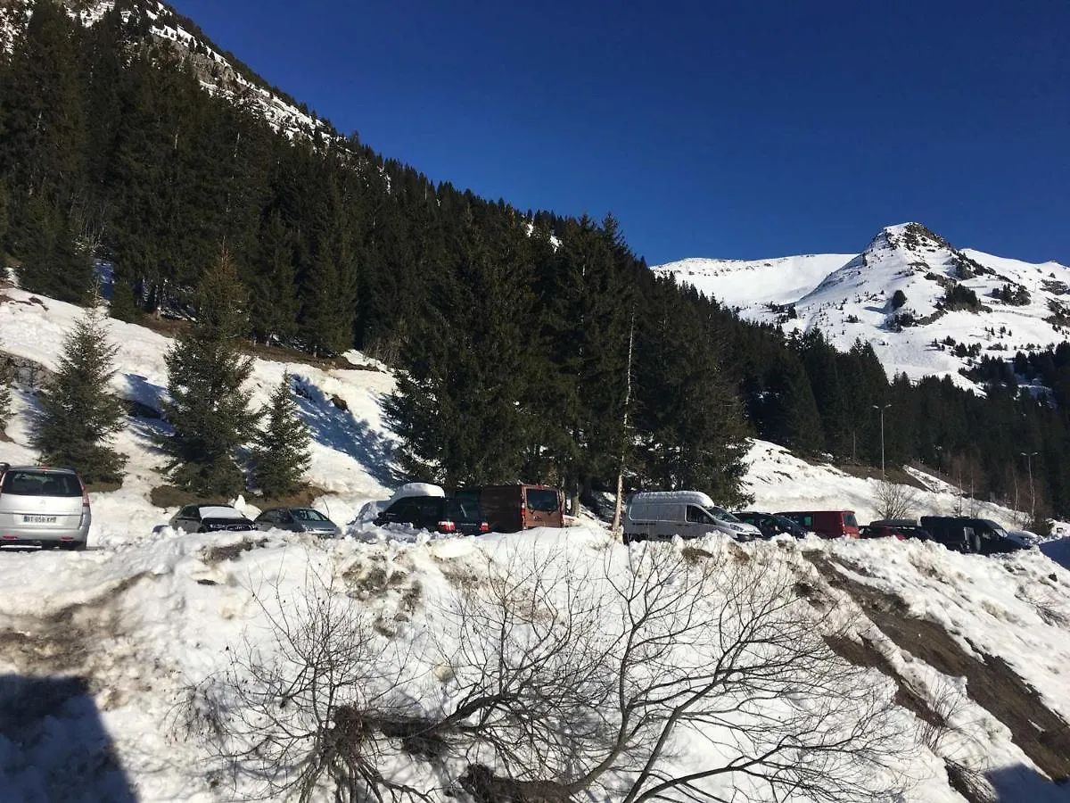Appartement 3 Pieces Pour 6 Personnes A 350M Des Pistes - Residence Petite Ourse, Flaine Foret - Fr-1-687-16 Araches-la-Frasse France